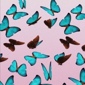 Meet your Posher, Allyson